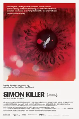 杀手西蒙 Simon Killer (2012)