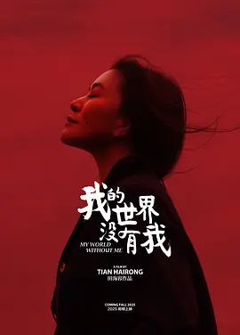 我的世界没有我 (2025)