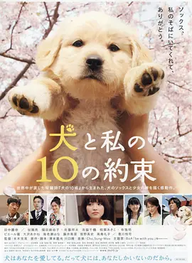 狗狗与我的十个约定(2008)