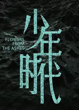 少年时代(2024)