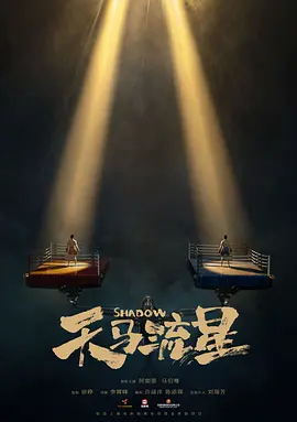天马流星(2024)