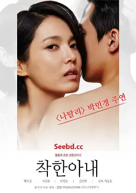善良的妻子(2016)