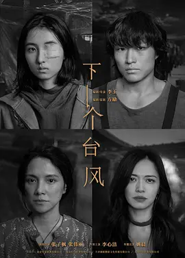 下一个台风.webp