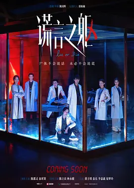 谎言之躯(2025)