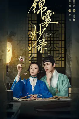 锦囊妙录(2025)