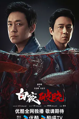 白夜破晓(2024)