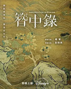 簪中录.webp