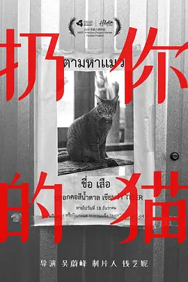 扔你的猫.webp