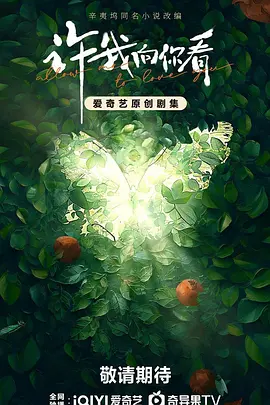 许我向你看(2025)