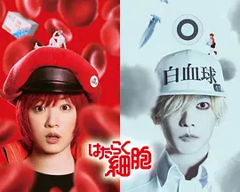 工作细胞 真人版(2024)