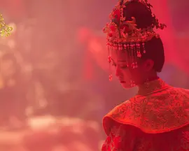 肥肥的狐狸(2024)