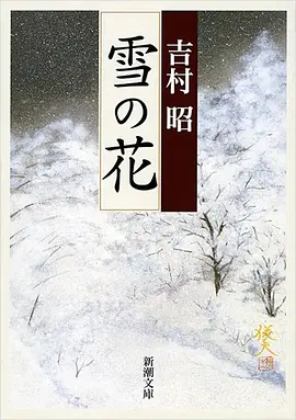 雪之花(2025)