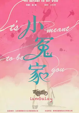 我的媳妇不好惹(2025)