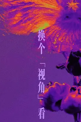 她们(2026)