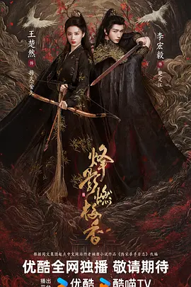 烽影燃梅香(2025)