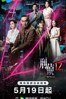 刑侦12(2025)
