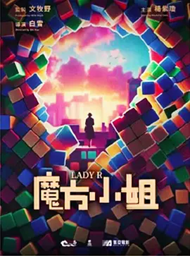 魔方小姐 (2026)