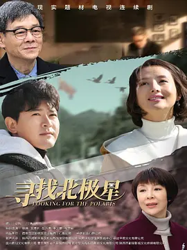 寻找北极星 (2025)