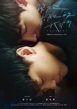 关于未知的我们(2024)