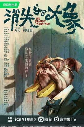 消失的大象(2024)