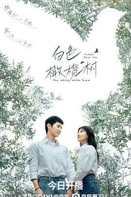 白色橄榄树.webp 白色橄榄树.webp
