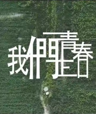 我们正青春(2025)