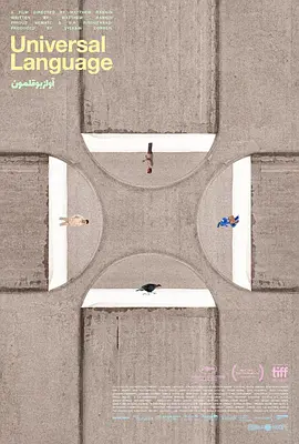 共同的语言(2024)