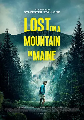 Lost on A Mountain in Maine.webp