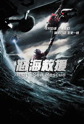 怒海救援.webp