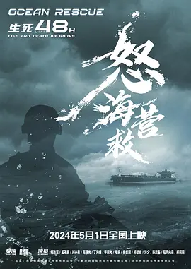 怒海营救.webp