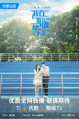 我在顶峰等你 (2025)