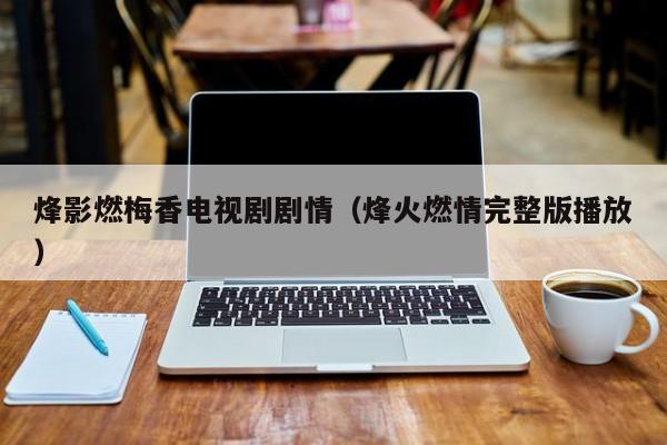 烽影燃梅香电视剧剧情（烽火燃情完整版播放）